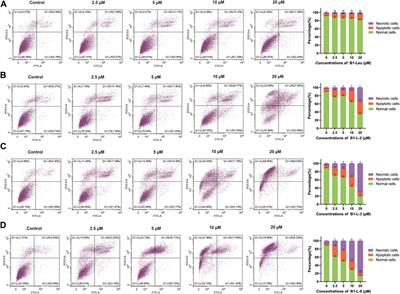 Corrigendum: Design, synthesis, and antitumor activity study of all-hydrocarbon-stapled B1-Leu peptides